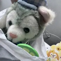 お顔厳選 匿名発送 ダッフィーフレンズ テイスティサマーサプライズ ぬいぐるみ