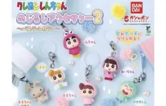 ポケモンセンター限定 めじるしアクセサリー2 4種 ピカチュウ