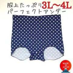 【在庫処分】股上たっぷりアンダーショーツ　3L~4L　インナーパンツ　防寒