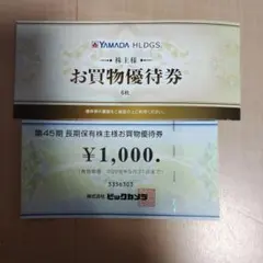 ヤマダ電機\3000・ビックカメラ\1000株主優待