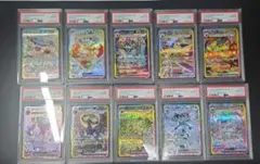 【PSA10】テラスタルフェス ブイズ SAR 10連番