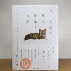 ほぼ初版帯付set 町田康 猫シリーズ 講談社刊 ほぼ初版帯付set 町田康 猫シリーズ 講談社刊 - メルカリ