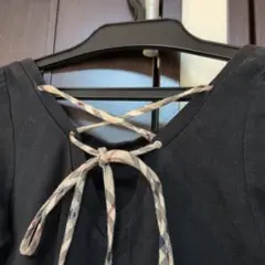 バーバリーブルーレーベルていしゃつ難