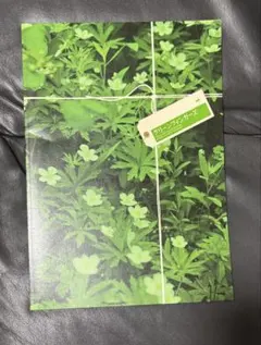 相葉雅紀 舞台 グリーンフィンガーズ　パンフレット