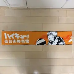 ハイキュー 仙台観光特使 日向翔陽 マフラータオル 仙台市体育館