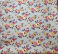 Item thumbnail for item 6bba2f86-7b0e-43da-94f4-c85be3ba1b5b