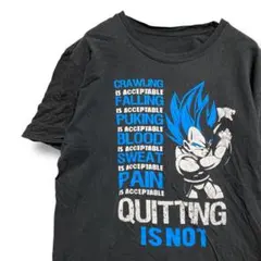 Item thumbnail for item 69d4da79-243c-4d0e-9b70-6fe957dadaec