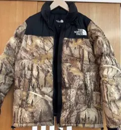 tnf ダウンジャケット