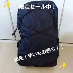 ✨️【美品・限定セール中】BRIEFING　ブリーフィング　パッカブル　リュックのサムネイル