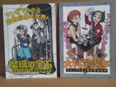 瑠璃の宝石*大科学少女*渋谷圭一郎*1枚ポップセット*未使用品*非売品*P1