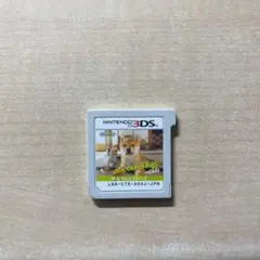nintendogs 柴&フレンズ
