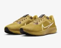 Nike ズームペガサス40 レアカラー　超美品　28.5
