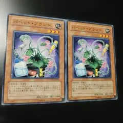 パペットプラント