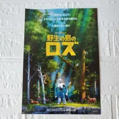 Item thumbnail for item 0619097a-fe3f-4a82-a366-0cfe6da2fc3f