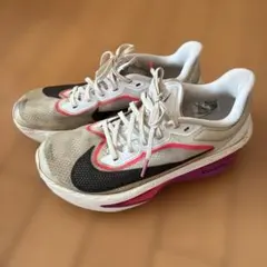 Nike Zoom FRY6 25.0㎝