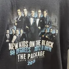 SALE/ 2013 NEW KIDS ON THE BLOCK Tシャツ