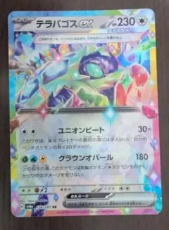 テラパゴスex RR SAR テラパゴスex【SAR】{130/102} - カードラッシュ[ポケモン]