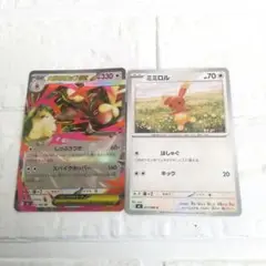 メガミミロップEX ミミロル トレカセット