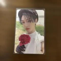 straykids スキズ フィリックス maxident 封入 トレカ