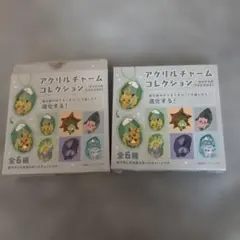 ポケモン アクリルチャームコレクション 2個セット