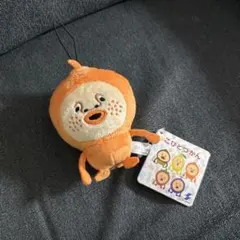 こびとづかん こびとづかん デフォルメマスコット ミカンキツケ