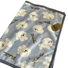 シルクマイヤーブランケット ひざ掛け 70×100cm