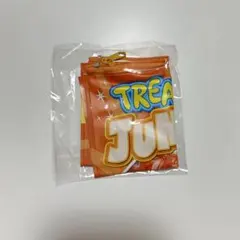 treasure ジュンギュ ポーチ