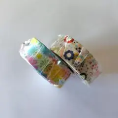 mt ex マスキングテープ 2巻セット スプリングフォルム&カラフルPOPのサムネイル