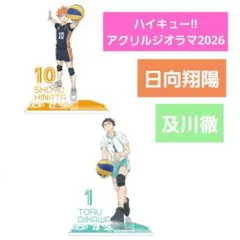【2種セット】ハイキュー アクリルジオラマ 日向翔陽 及川徹 アクスタ アニメ