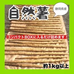 ミチミチ様 専用