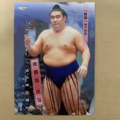 BBM1997 大相撲カード 相撲カード No.23 琴稲妻 - メルカリ