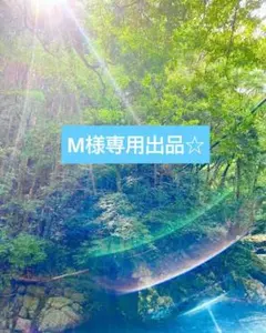 【М様専用出品☆】チャット鑑定15分占い放題☆