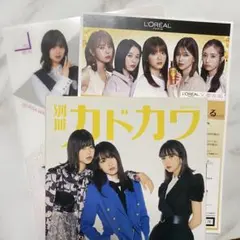 Item thumbnail for item 2b6913fb-ae0b-4726-9e3d-dfc60ce98cdc