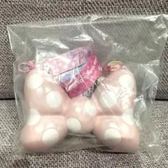 【新品未使用】ミニー パルパルーザ ファンダーランド スーベニア スナックケース