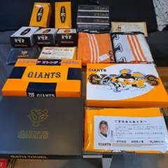 GIANTS バスタオル5枚 フェイスタオル3枚 エコバック ティッシュ