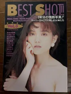 BEST SHOT vol.3 アップトゥボーイ特別編集　秋本奈緒美、小沢なつき