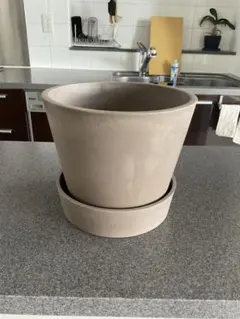 植木鉢　テラコッタ風　オマケ付き