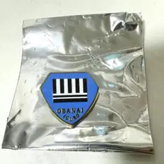 鬼滅の刃 柱展 伊黒小芭内 コレクションピンズ