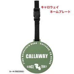 Item thumbnail for item a7a88f67-7eac-4c94-b1fa-6565d8b974c4