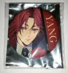 2025年最新】ピオフィオーレの晩鐘 楊 缶バッジの人気アイテム