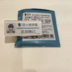 ときメモGS3 設楽聖司　ネームプレートコレクション ときメモgs3 設楽聖司 ネームプレート バッジ - メルカリ