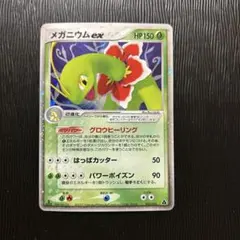 S様専用　メガニウムex 構築済みスターター他2点