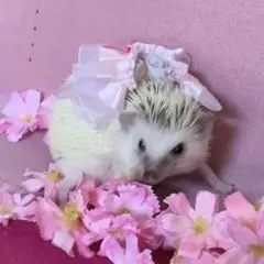 ♡はる様☆ご確認用☆★☆