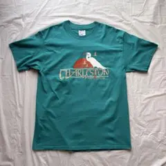 Hanes ヘインズ　グラフィックTシャツ usa製 ターコイズ　L