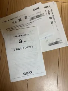 サピ　テスト6点セット 2025年最新】sapix 入室テストの人気アイテム - メルカリ