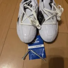 MIZUNO フランチャイズカラーグリッター 23.0cm スパイク - メルカリ