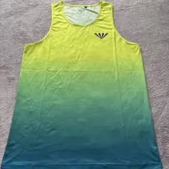 ジンガーのノースリーブ グラデーショントップス一度着用。