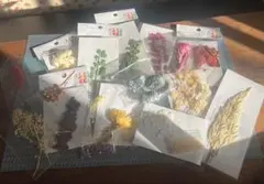ハーバリウム　プリザーブドフラワー花材セット