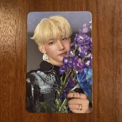 &TEAM back to life JO トレカ