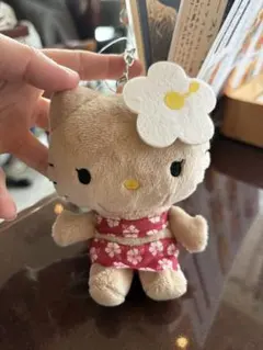 ハワイ カハラホテル限定 Sanrio 日焼けダニエル 正規品 - メルカリ